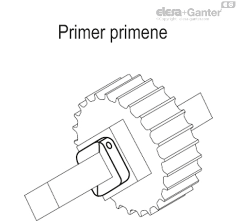 ANPS_Q_ACC_EXAMPLE_SR