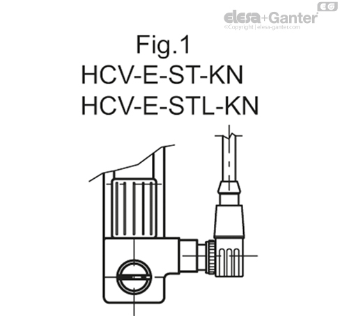 HCV_E_S_FIG1_SR