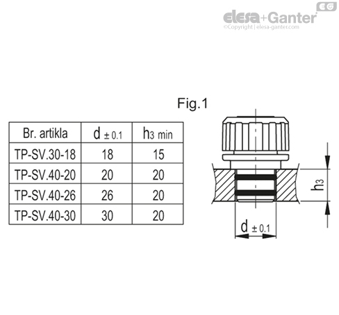 TP_SV_MOUNT_EXAMPLE_SR